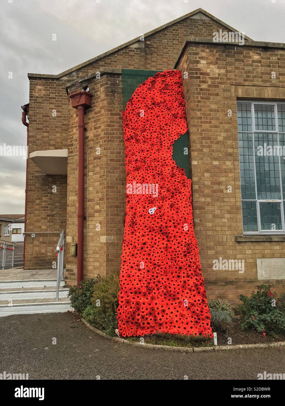 A cascade of poppies marks the centenary of the end of World War I at Milton Methodist Church in Weston-super-Mare, UK - Smartphone Captured Stock Image
