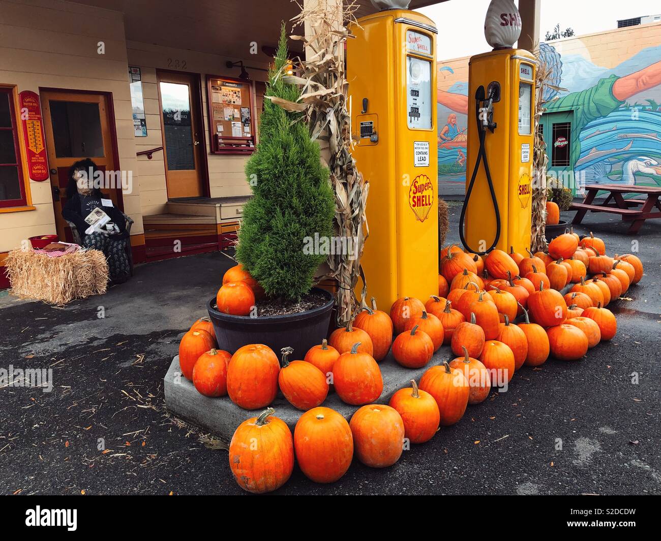 Vintage restored Shell gas station in Issaquah WA decorated with orange