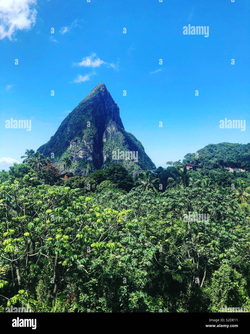 View of the Petit Piton Stock Photo Alamy