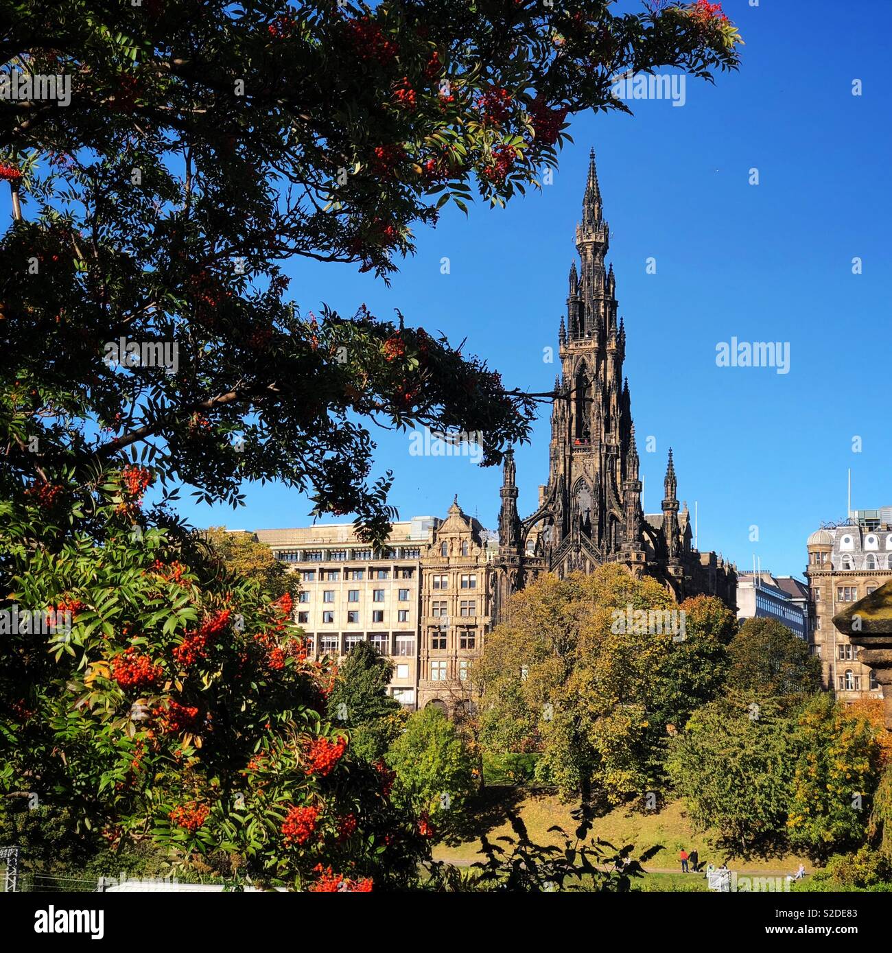 Autumn at the Scott Monument Stock Photo - Alamy