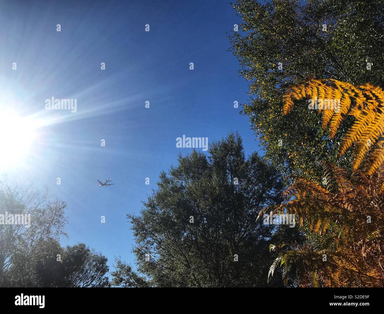 Aeroplane flying overhead on a sunny day Stock Photo