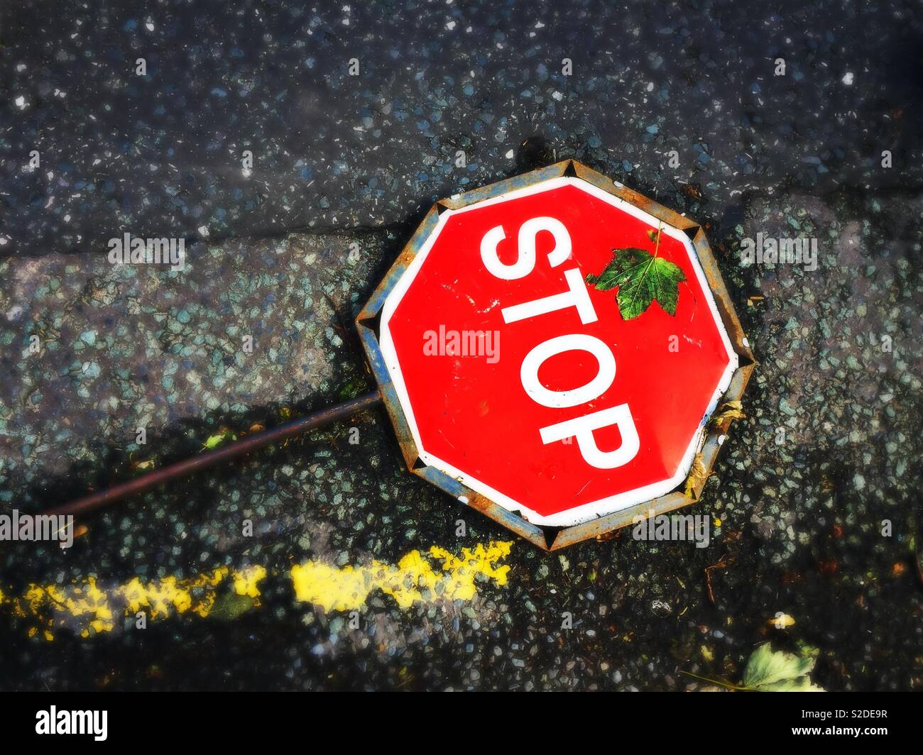 Stop sign laying on asphalt road - Smartphone Captured Stock Image
