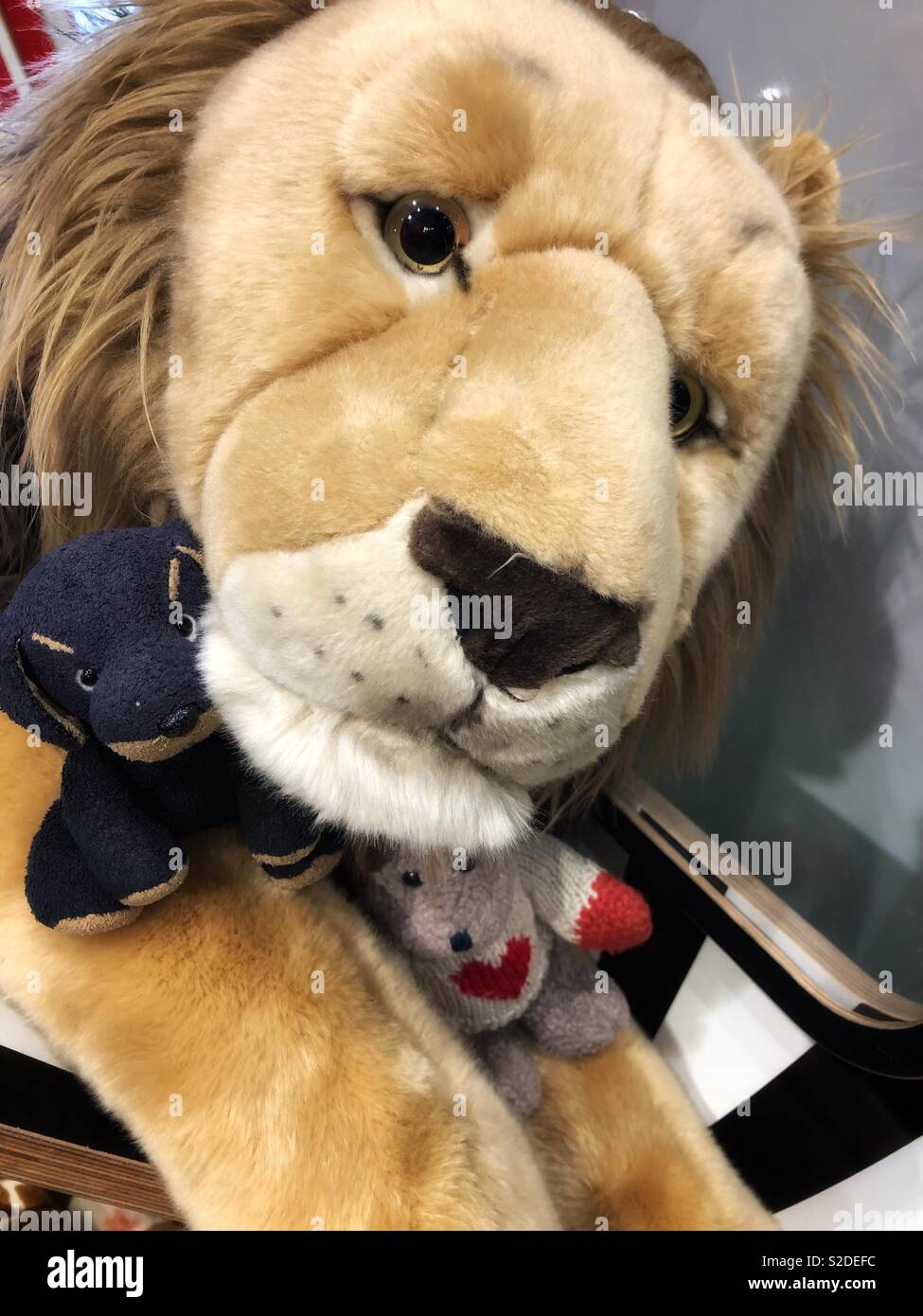 Stuffed animals. - Smartphone Captured Stock Image