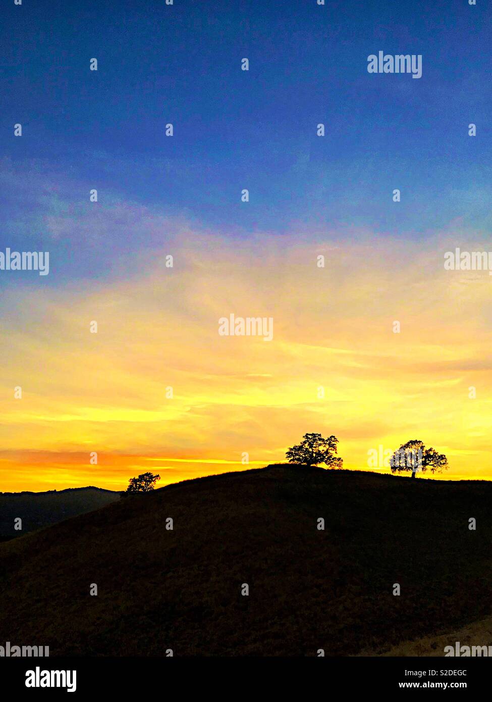 Sunset over hills with oak trees - Smartphone Captured Stock Image