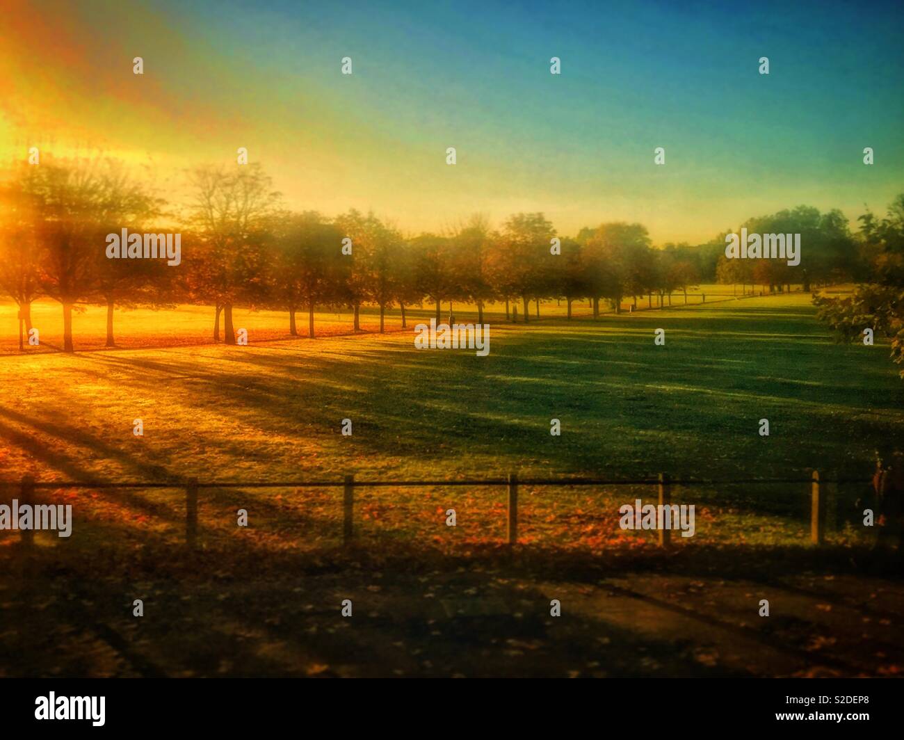 Sunrise in Peckham Rye park. - Smartphone Captured Stock Image