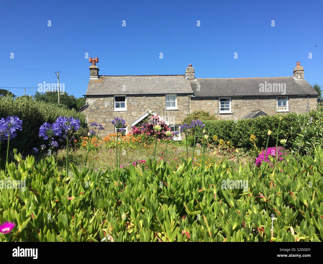 Cottage garden - small stone cottages houses on Tresco, Isles of Scilly Stock Photo