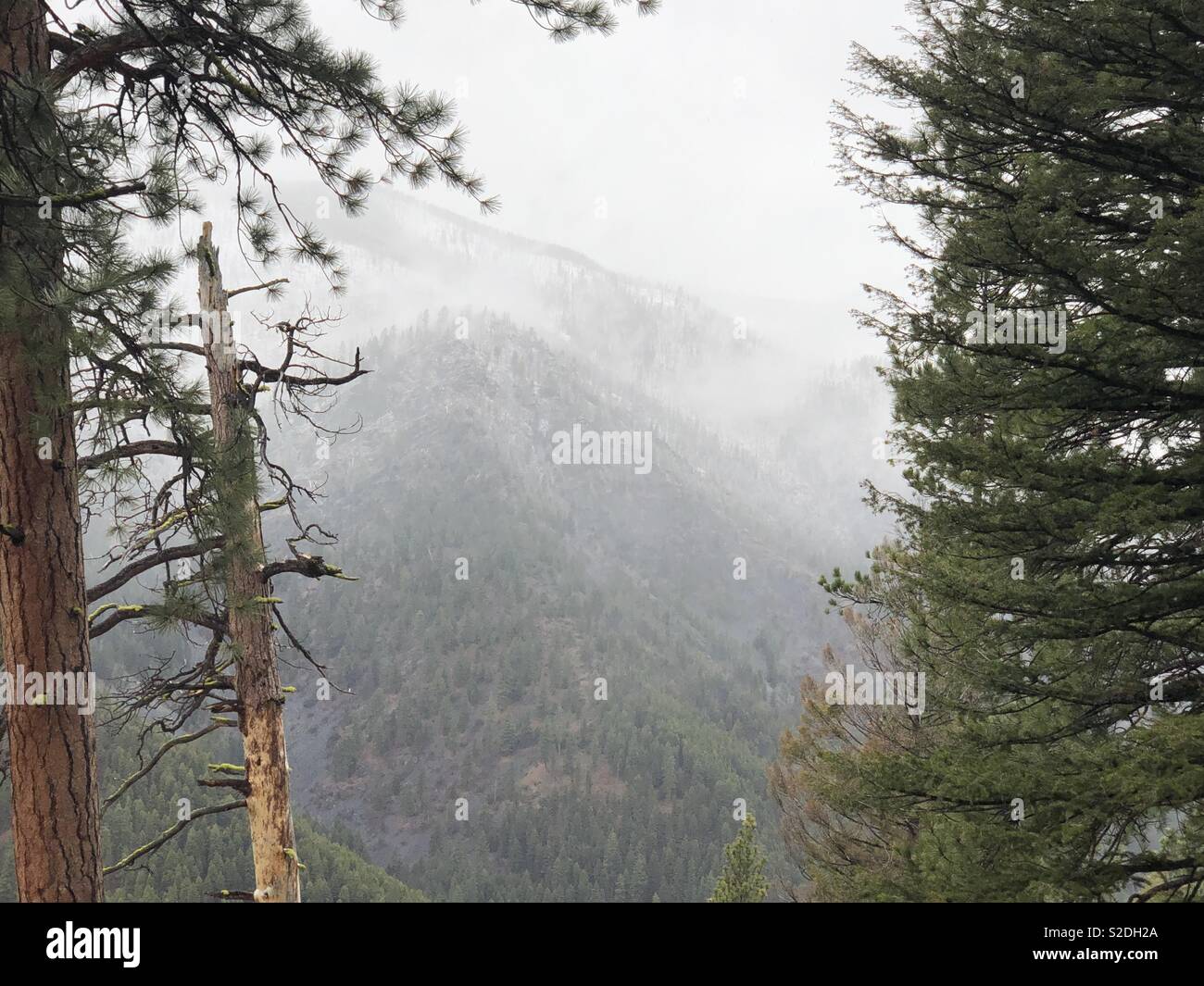 High elevation snow in western Montana Stock Photo Alamy