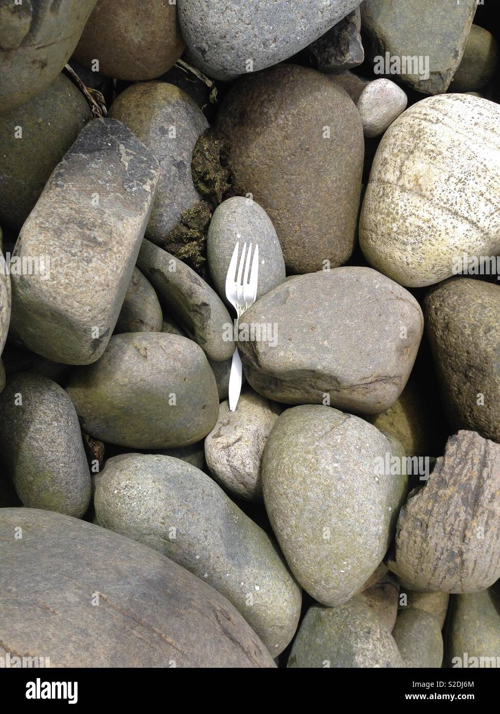 Plastic waste - white plastic cutlery fork on remote pebble beach, Burg Isle of Mull, Scotland Stock Photo