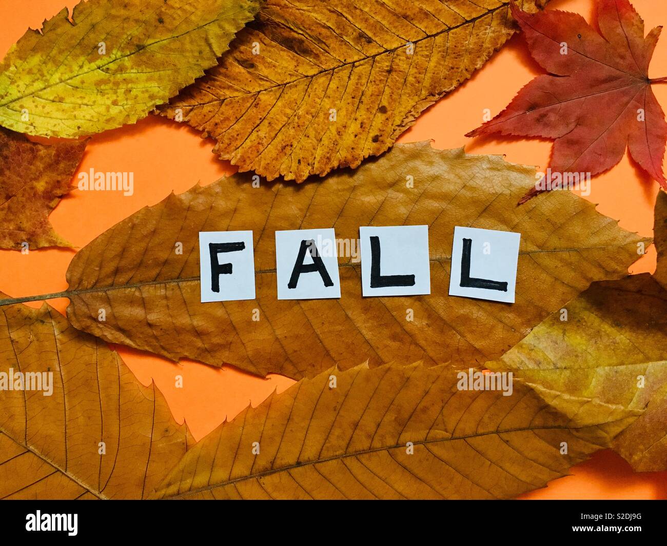 The word fall on a background of leaves - Smartphone Captured Stock Image