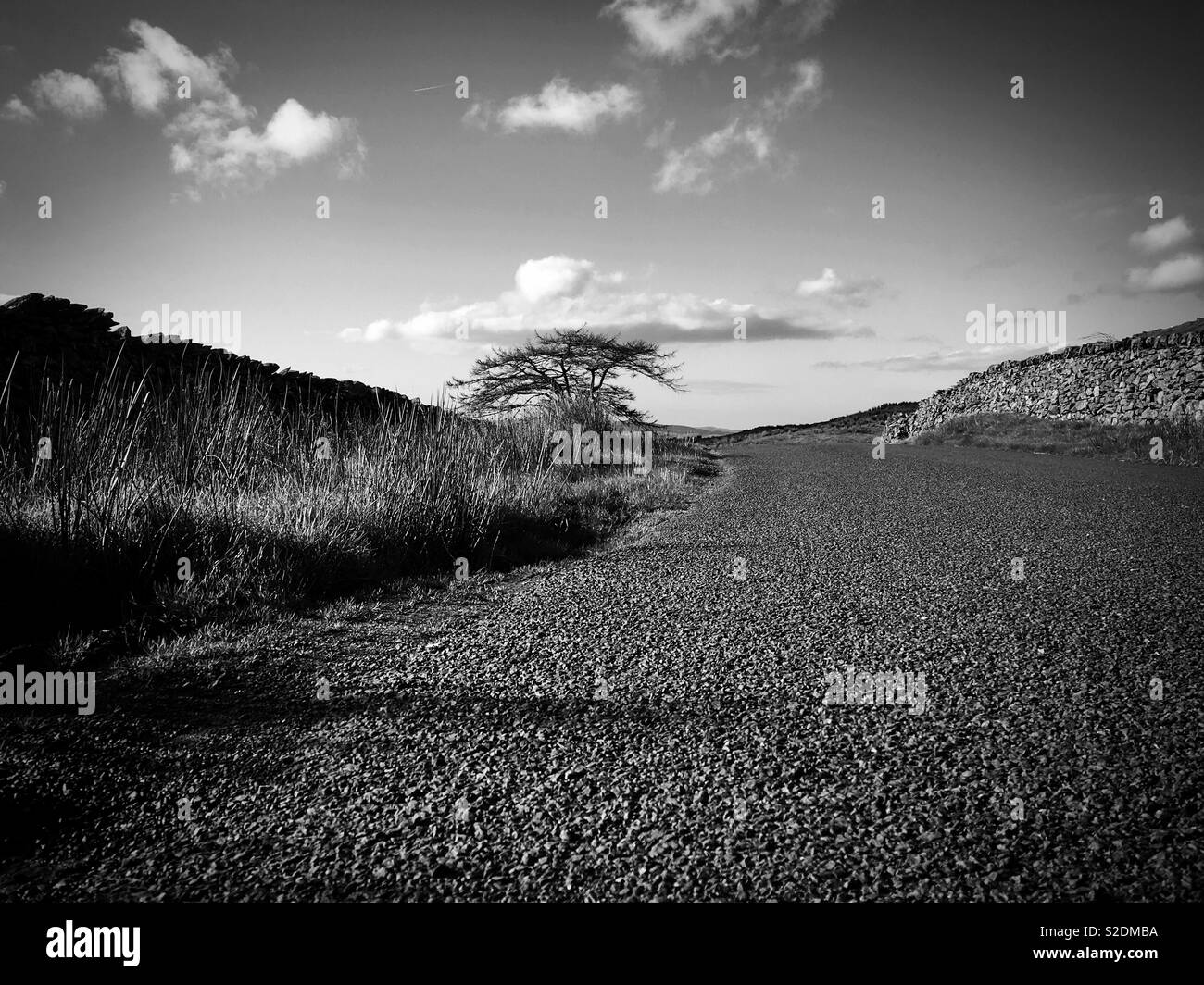 Road to nowhere Stock Photo Alamy