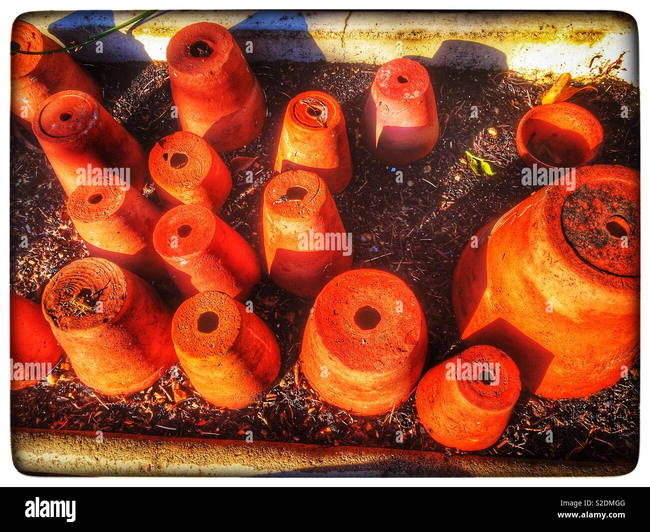 Upside down flowerpots - Smartphone Captured Stock Image