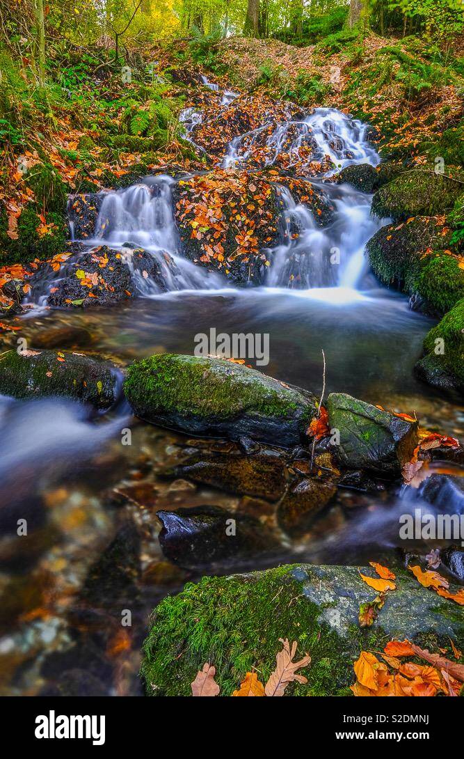 Waterfalls in autumn with long exposure moving over mossy rocks with autumn leaves on - Smartphone Captured Stock Image