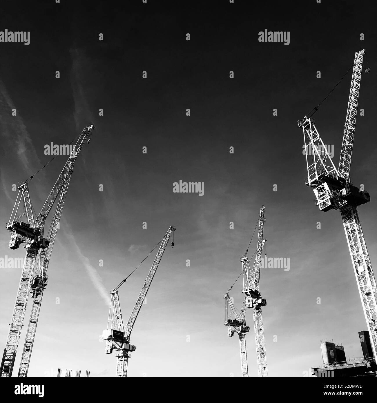 White cranes Black and White Stock Photos & Images - Alamy