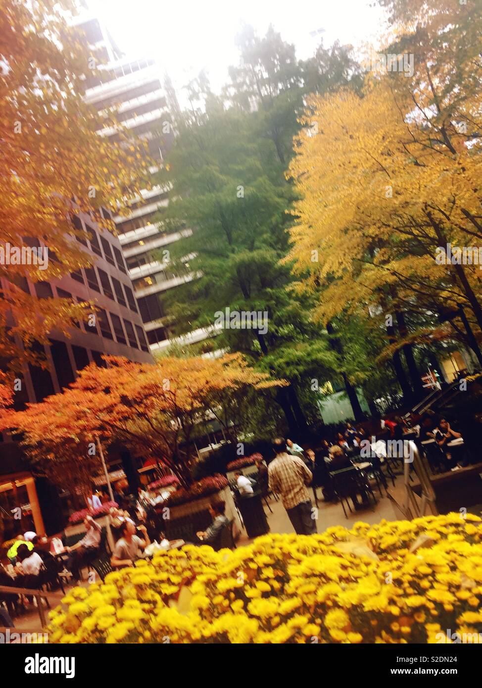 Office workers and tourists enjoying a pocket park in midtown Manhattan on a fall day. NYC, USAA - Smartphone Captured Stock Image