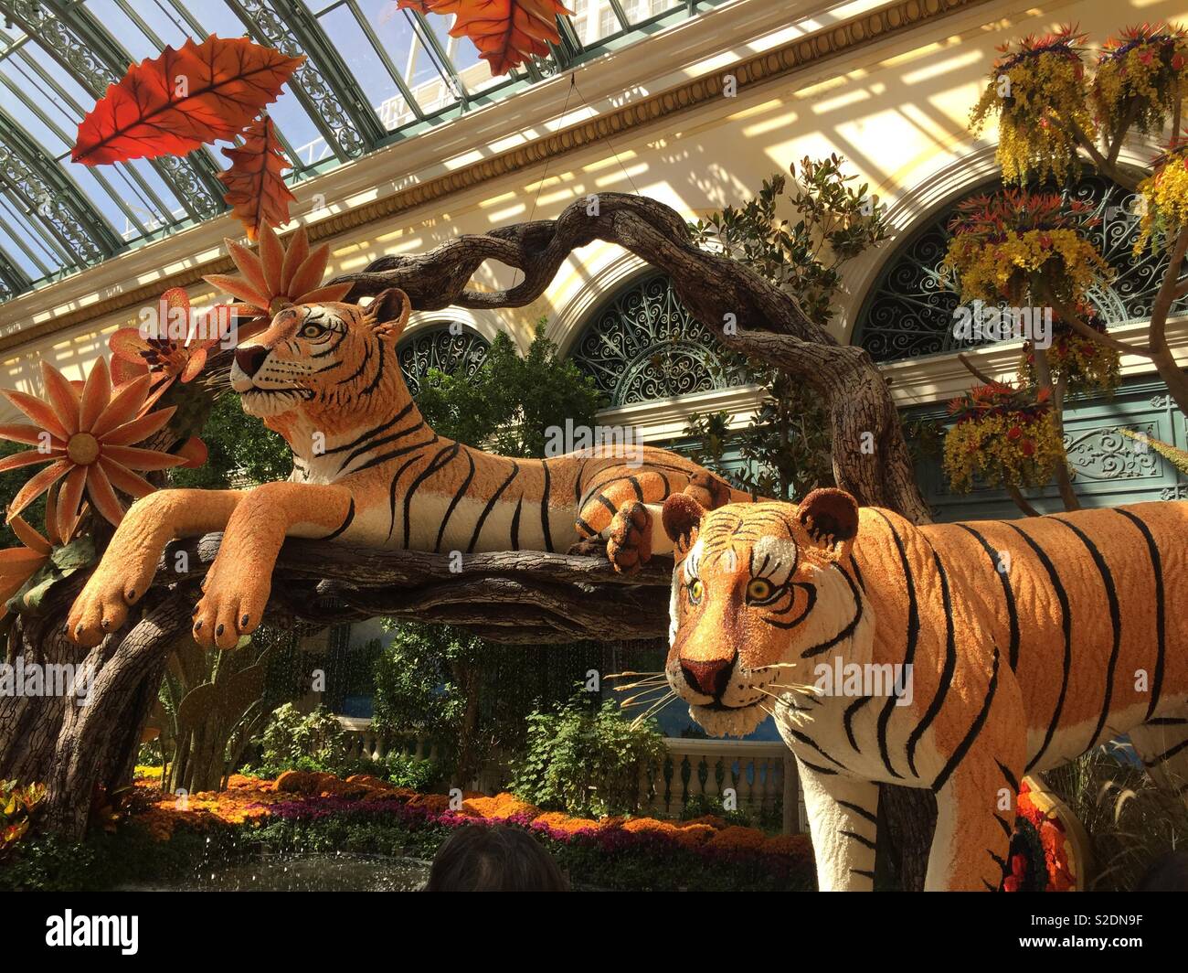 Bellagio Conservatory's new display: 'Eye of the Tiger' honors Asian  culture — PHOTOS, The Strip