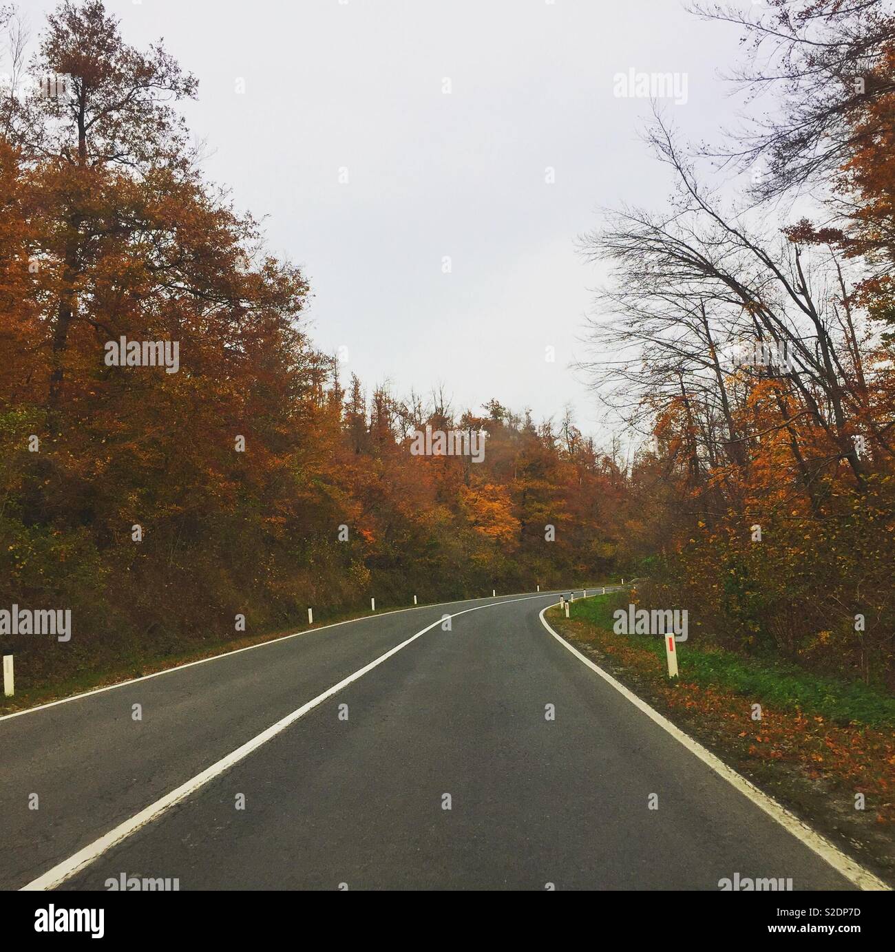 Autumn road. Razdrto, Slovenia. - Smartphone Captured Stock Image