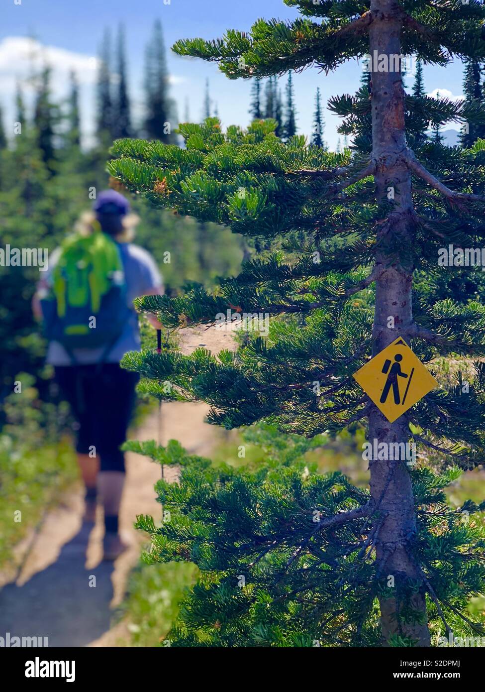 Walkers in Whistler, Canada Stock Photo Alamy