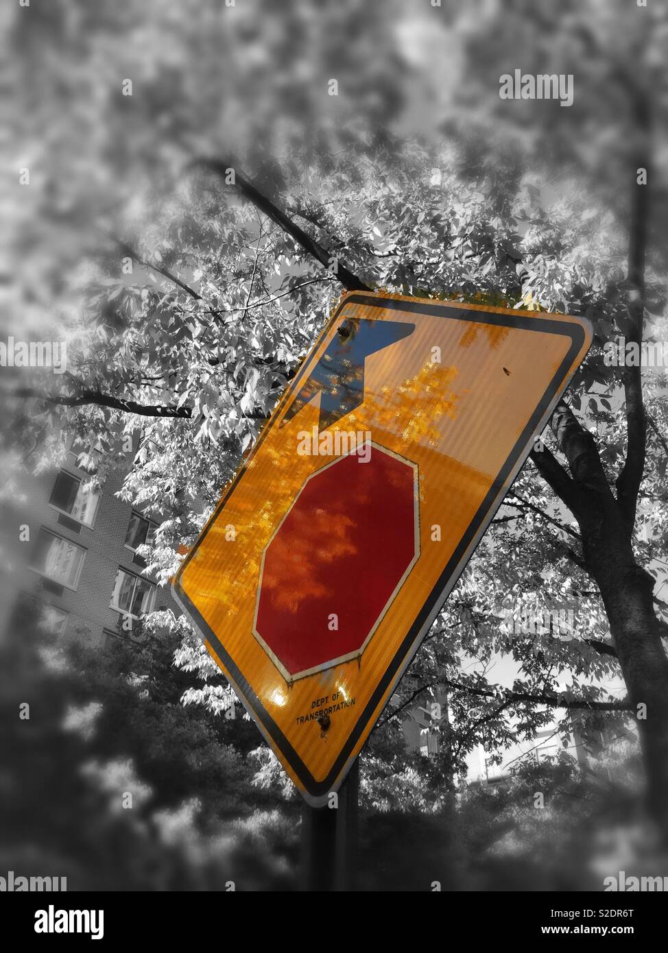 Colorful stop ahead sign with black and white surroundings, USA - Smartphone Captured Stock Image