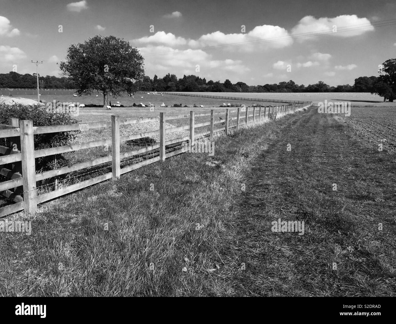 Binfield Black and White Stock Photos & Images Alamy