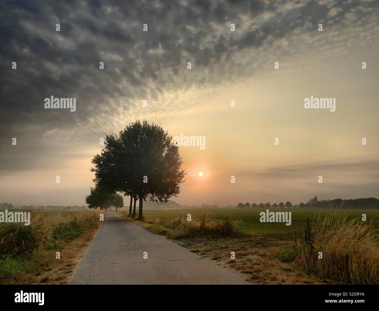 Dark Fluffy clouds being chased away by the sunrise over a rural landscape with a dirt road and some lonely trees - Smartphone Captured Stock Image