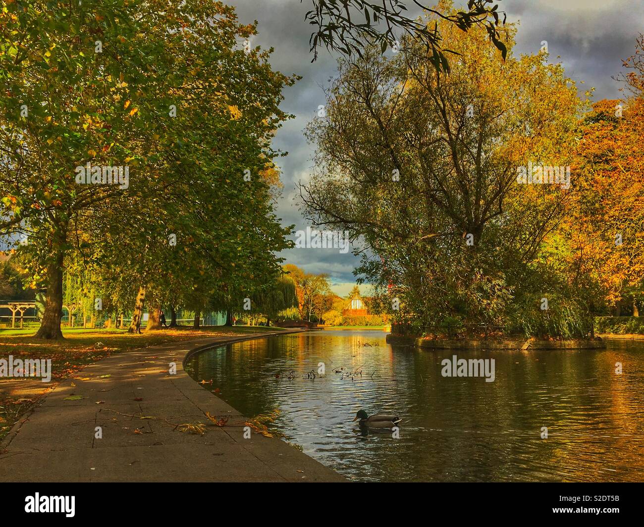 Rowntree Park in autumn York North Yorkshire England UK United Kingdom GB Great Britain - Smartphone Captured Stock Image