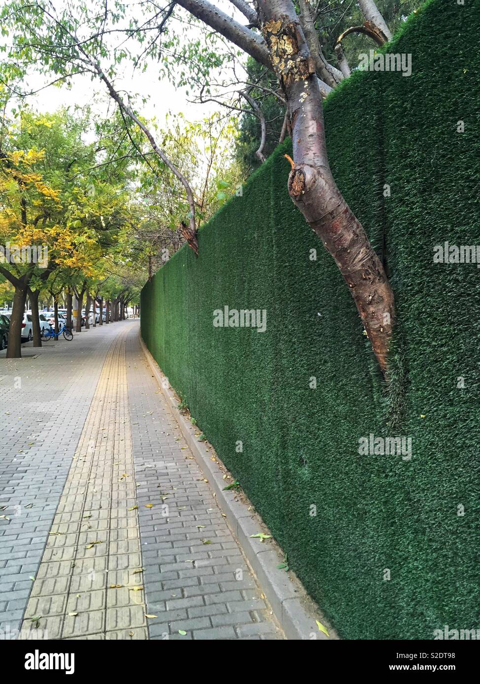 Artificial grass cover a long concrete wall in Chaoyang district in Beijing, China. - Smartphone Captured Stock Image