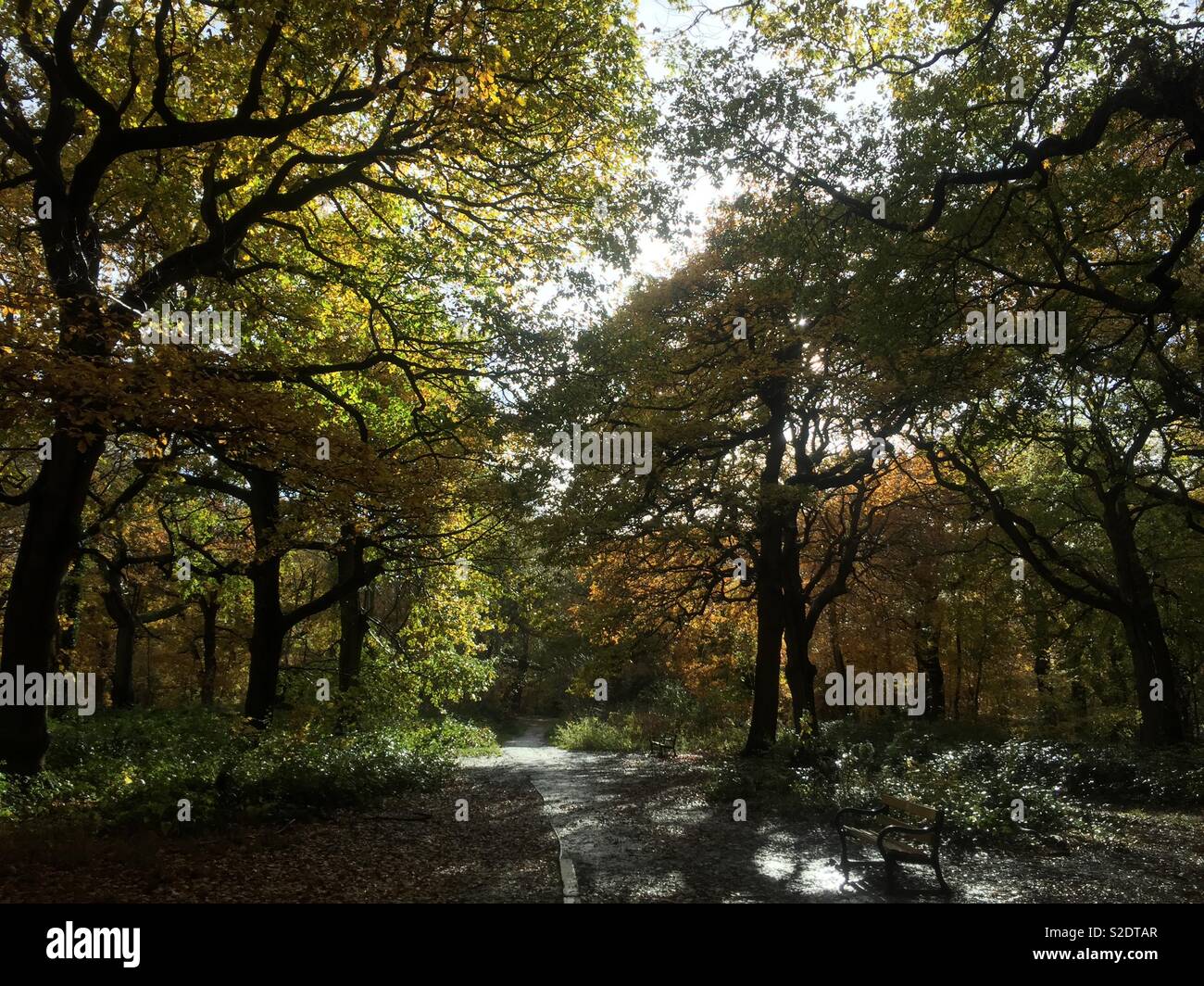 Sunshine and showers Stock Photo Alamy
