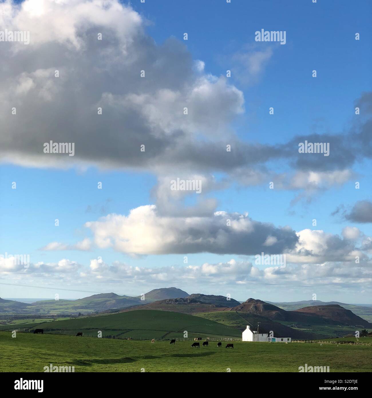 White cottage. - Smartphone Captured Stock Image