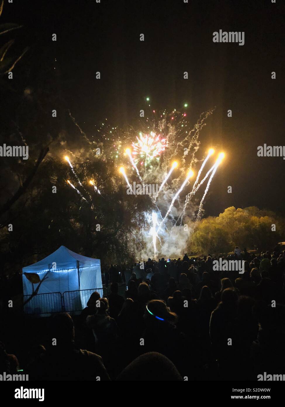 Fireworks night. Lights in a night sky Stock Photo