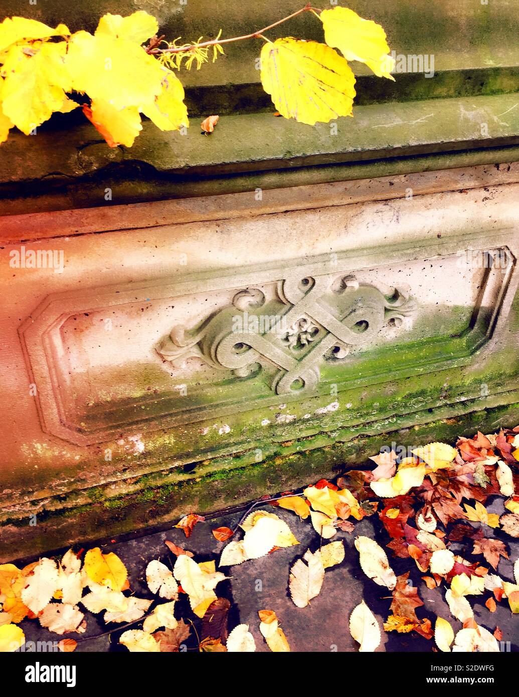 Autumn in Central Park with the fallen leaves on the path way over glade arch near Cedar Hill, NYC, USA - Smartphone Captured Stock Image
