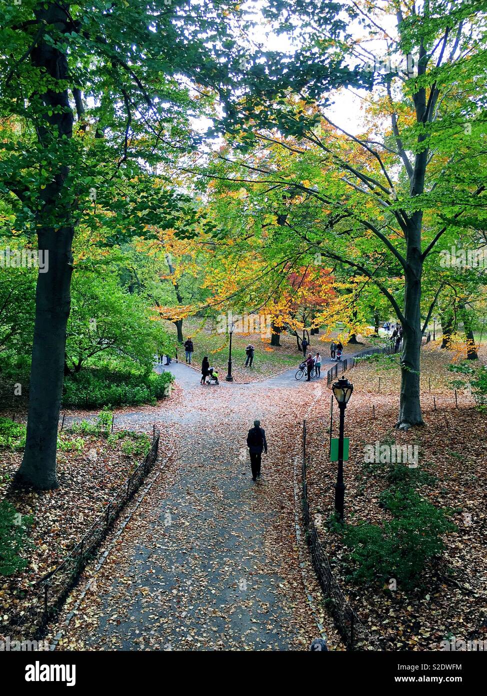 People enjoying the pathway under glade arch and other routes near Cedar Hill on an autumn afternoon in Central Park, NYC, USA - Smartphone Captured Stock Image