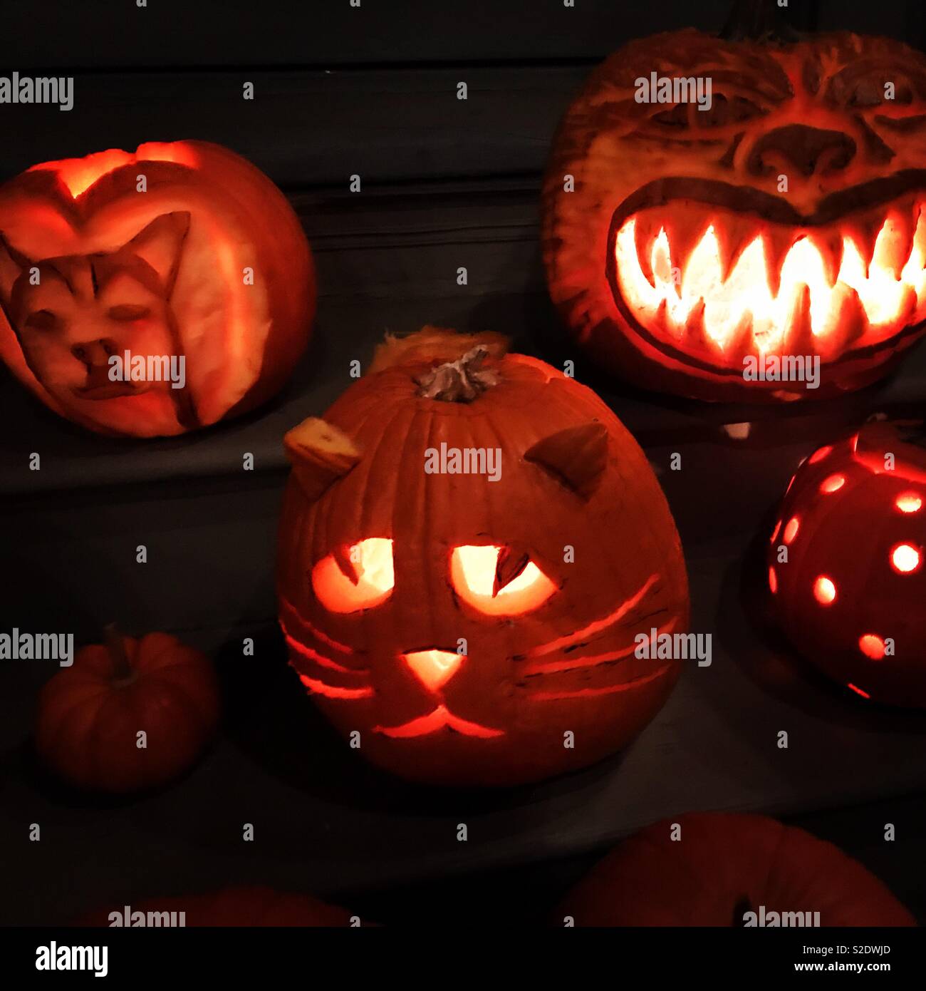 Halloween Jack O Lanterns Stock Photo Alamy