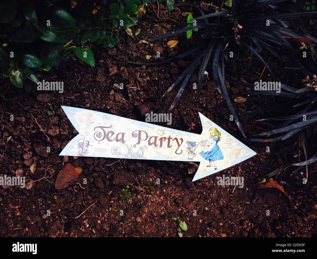 Alice in wonderland tea party blue tea Stock Photo - Alamy