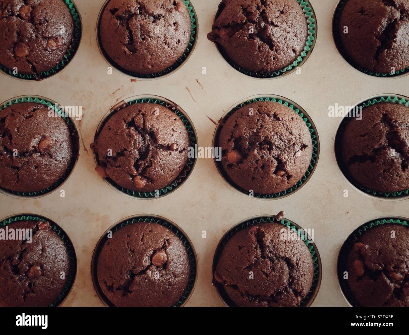 Flat lay closeup view of dozen homemade baked chocolate zucchini muffins in a metal muffin pan - Smartphone Captured Stock Image