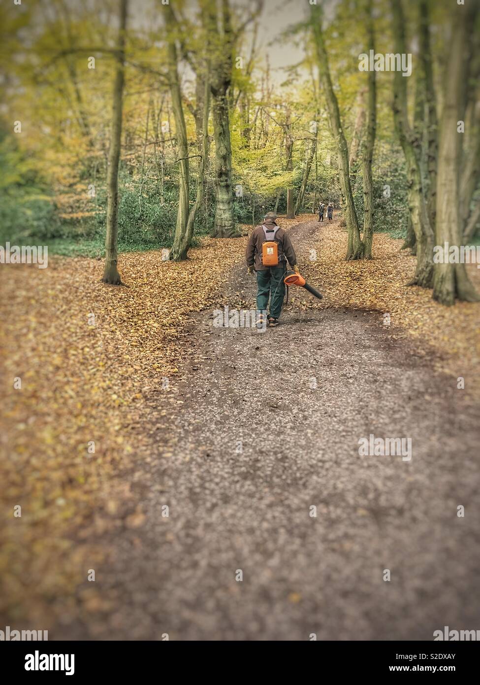 Leaf Blower in Highgate Woods, London - Smartphone Captured Stock Image