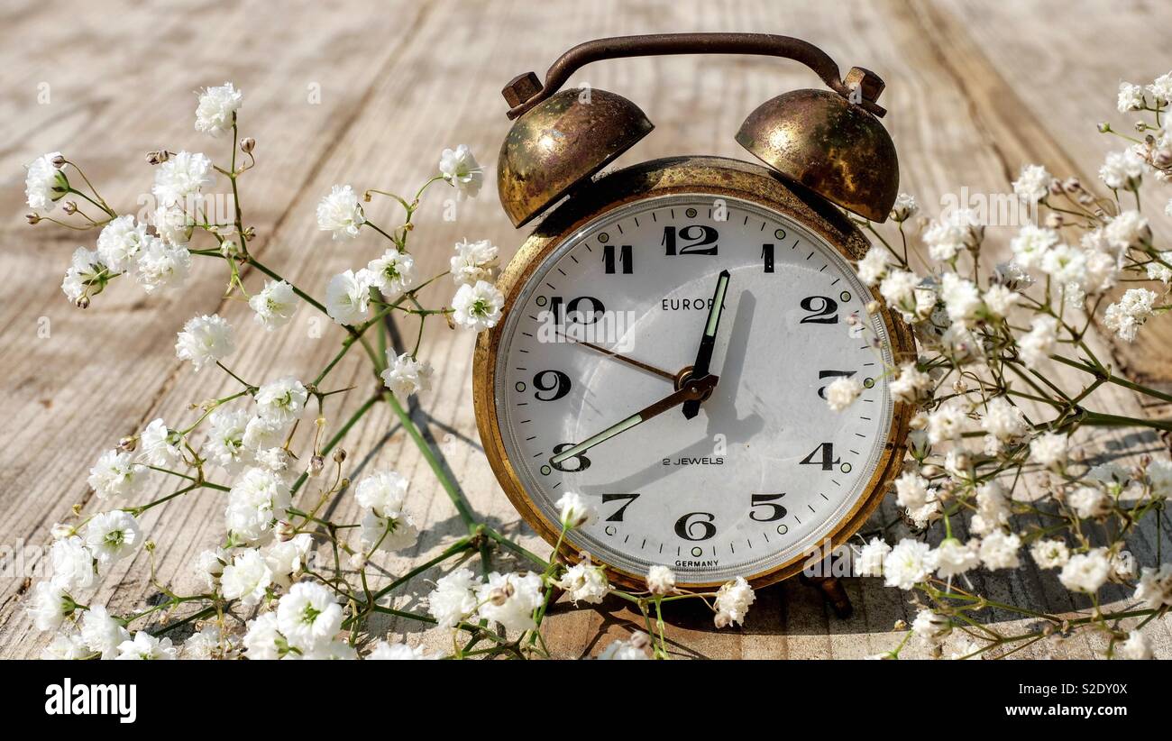 Old fashioned brass alarm clock in between flowers on a wooden table