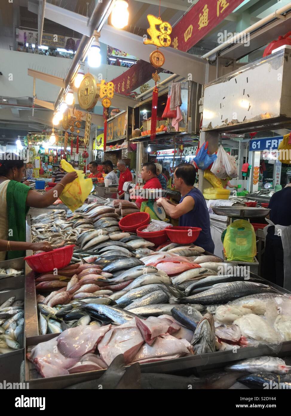 Fish Market in Singapore China Town Stock Photo Alamy
