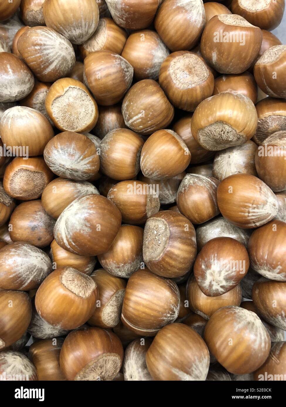 Whole hazelnuts hires stock photography and images Alamy
