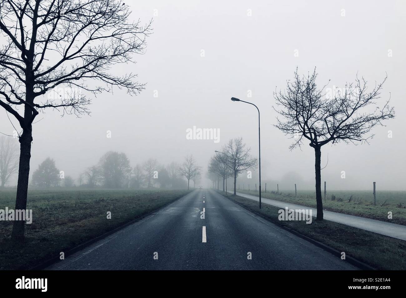 Lonesome foggy country road during winter in Brandenburg, Germany. Mystic scenery. Stock Photo