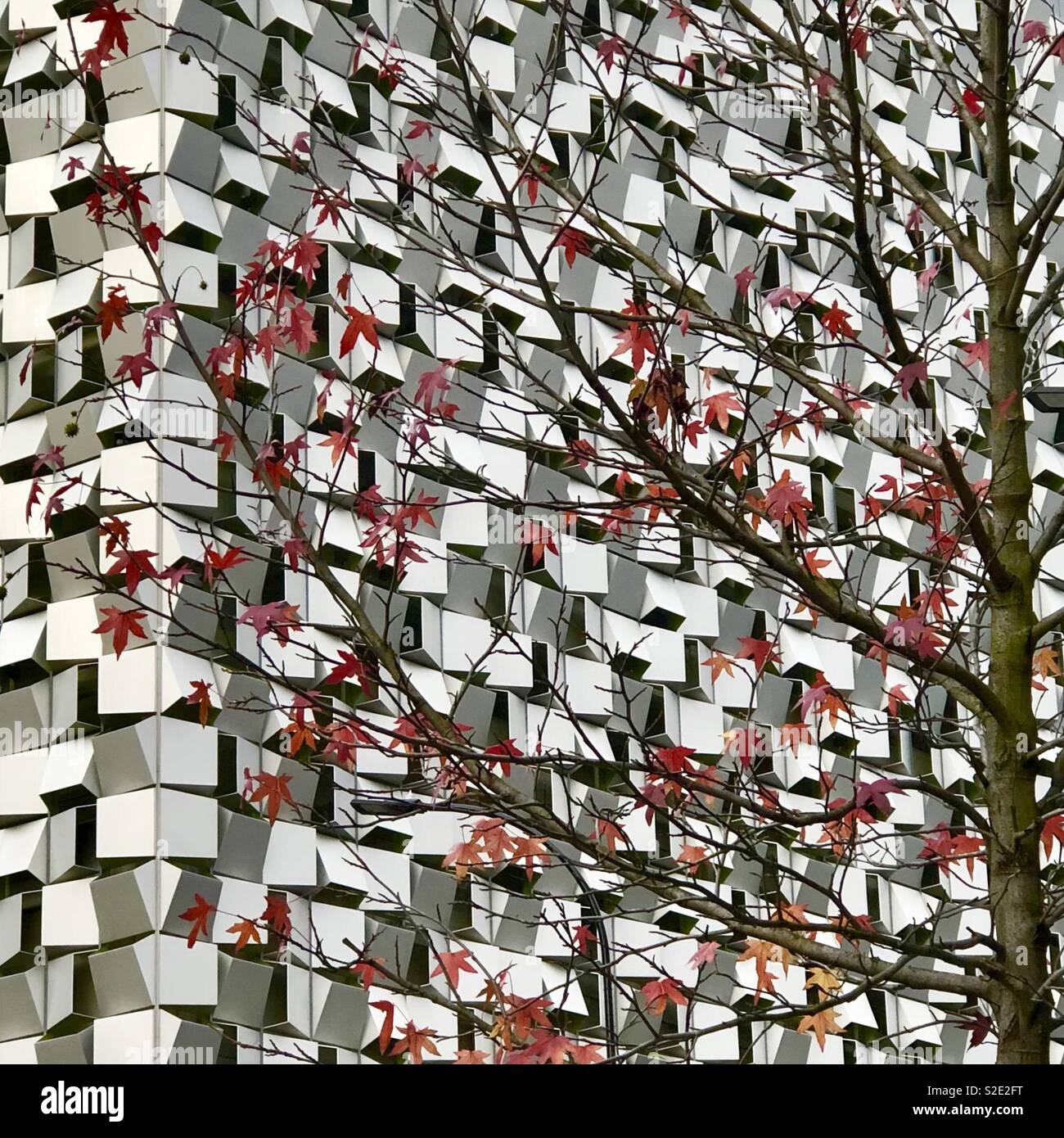 Black, white and red - Smartphone Captured Stock Image