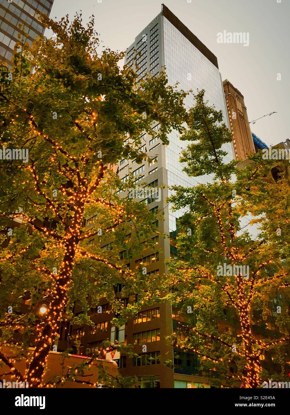 Skyline of buildings behind trees on a full afternoon in midtown Manhattan, NYC, USAA - Smartphone Captured Stock Image