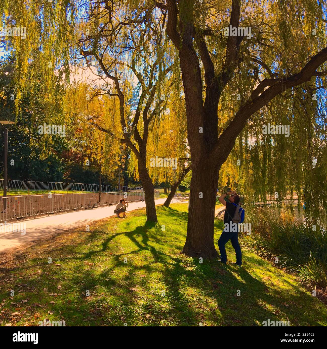 Canberra Commonwealth Park with people taking photos of trees - Smartphone Captured Stock Image