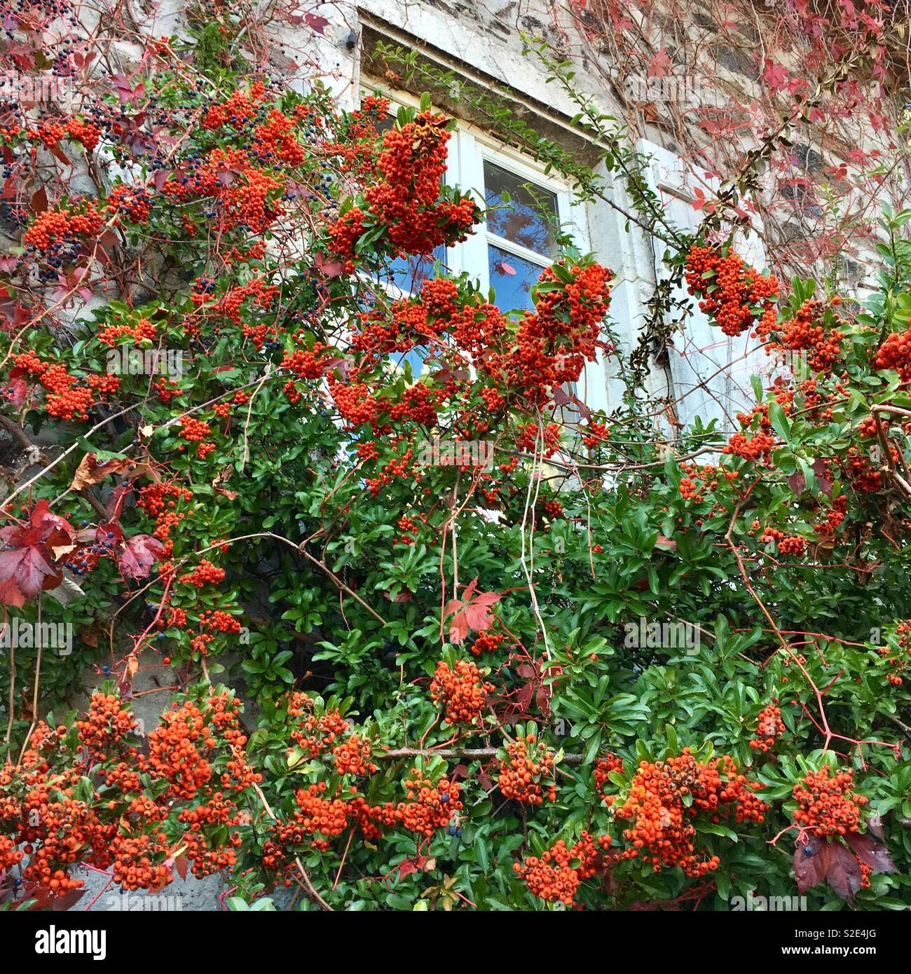 Charming window - Smartphone Captured Stock Image