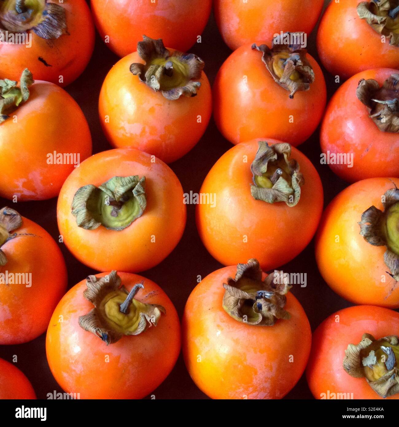 Fruit of persimmon Stock Photo