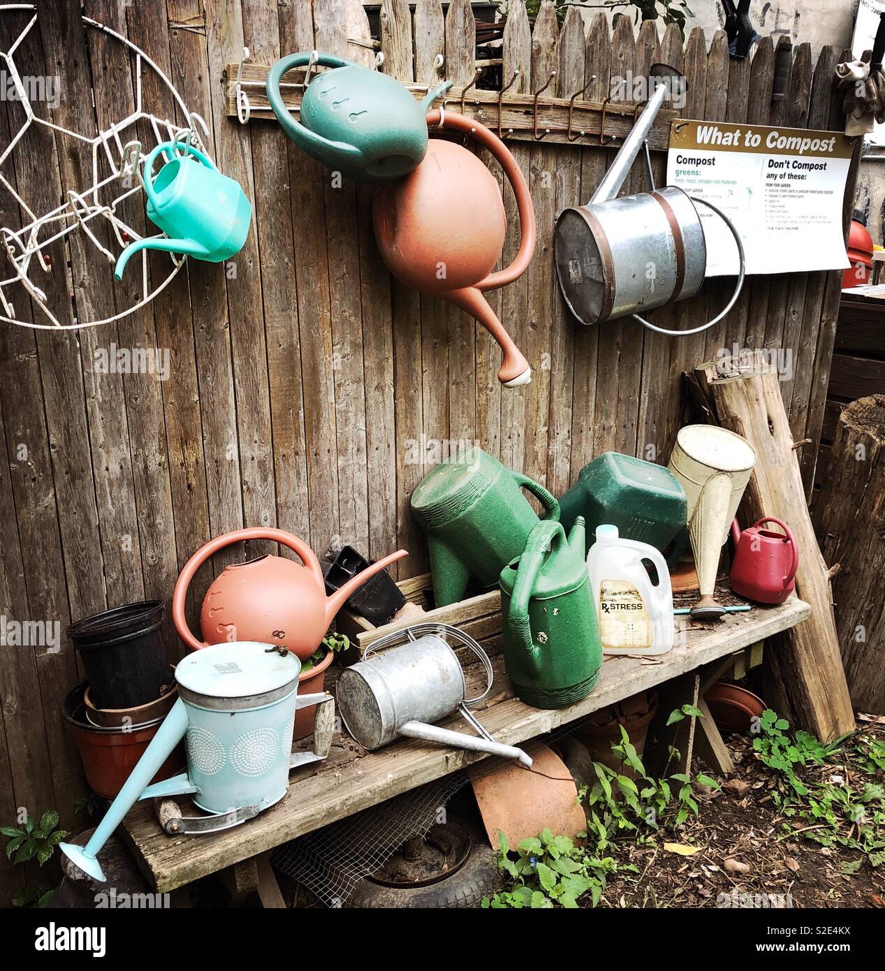Collection of watering cans in a community garden Stock Photo Alamy
