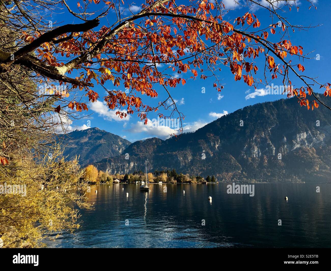 Autumn on lake Thun near Unterseen Interlaken, Bernese alps, Switzerland. Stock Photo