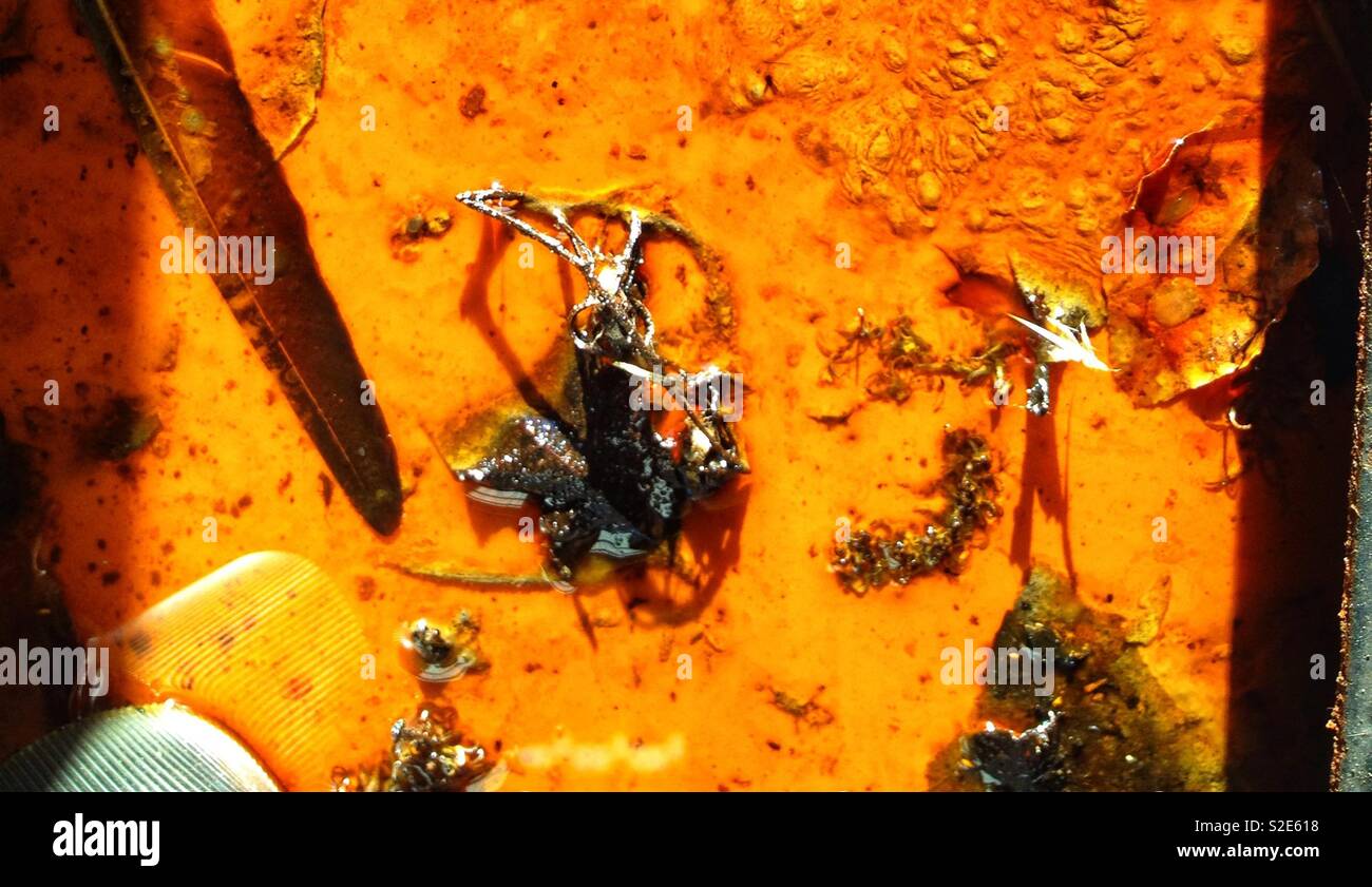 Oil sludge and scrap metal - Smartphone Captured Stock Image