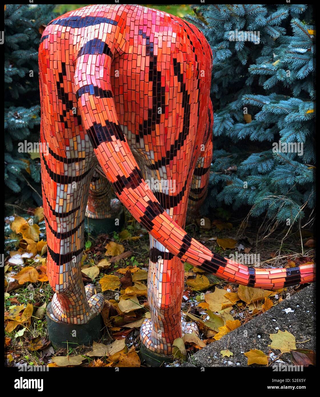 The tiger's tail hires stock photography and images Alamy