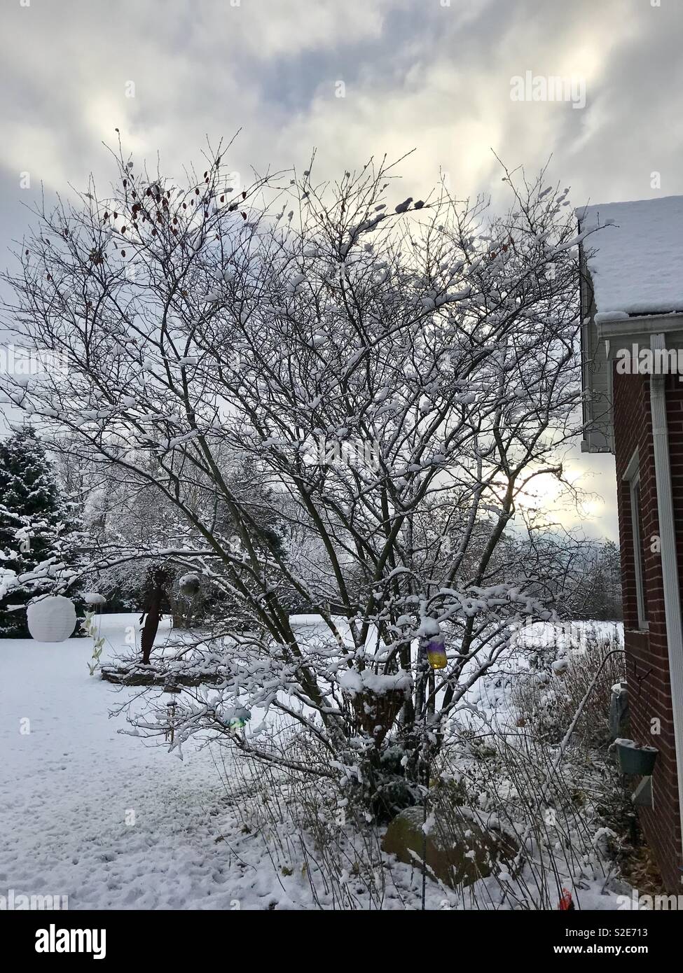 Early morning snow - Smartphone Captured Stock Image