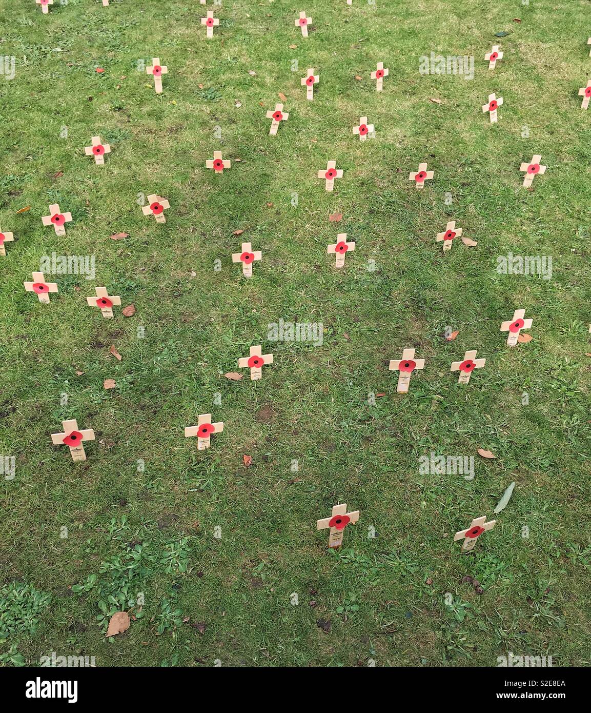 Crosses in the grass near the war memorial in Grove Park, Weston-super-Mare, UK - Smartphone Captured Stock Image